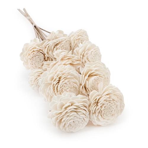 Shola - sola - Belly bukiet 10szt.png