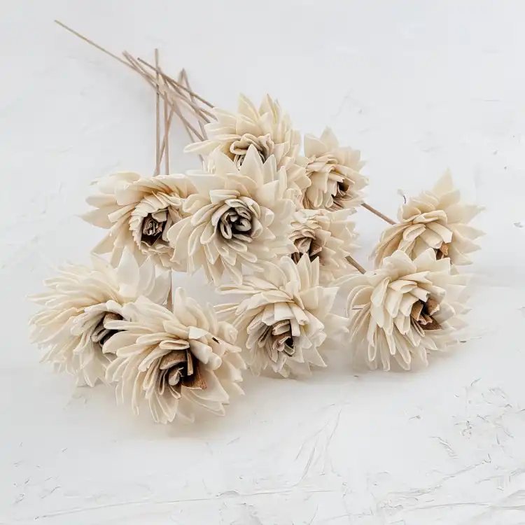 Shola Electra 2.png
