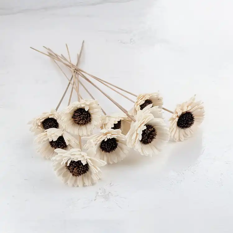 Shola Sunflower.png