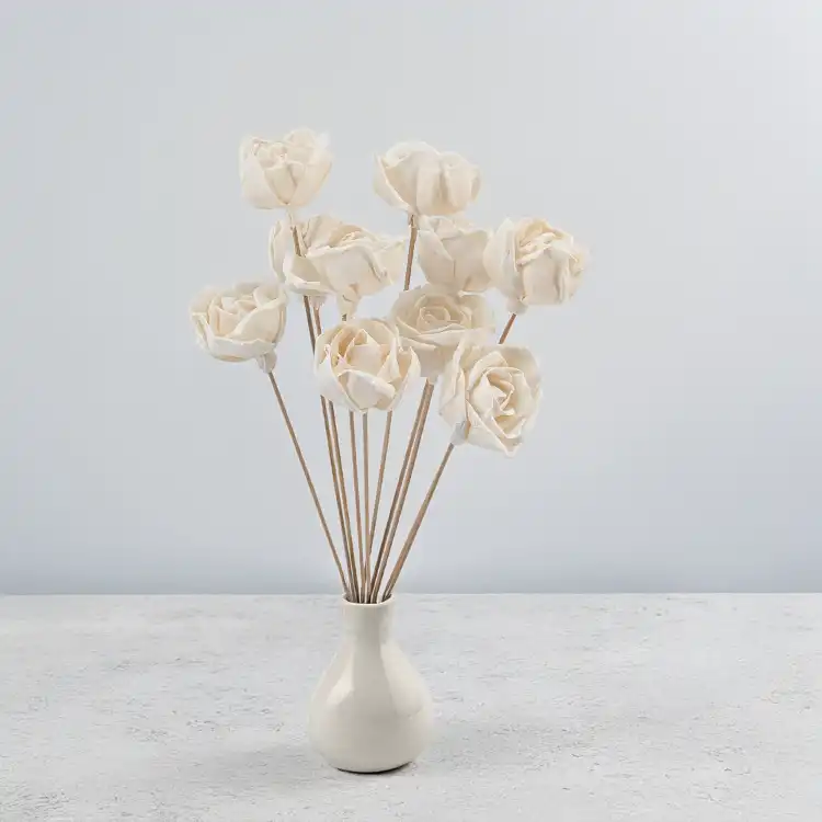 Shola Rose Special 4.png