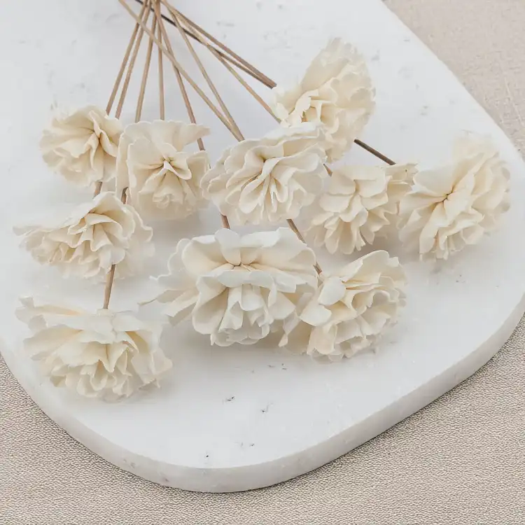 Shola Carnation 2.png