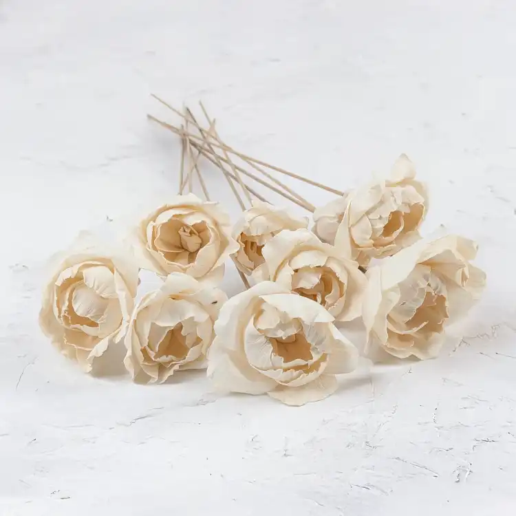 Shola Peony 3.png