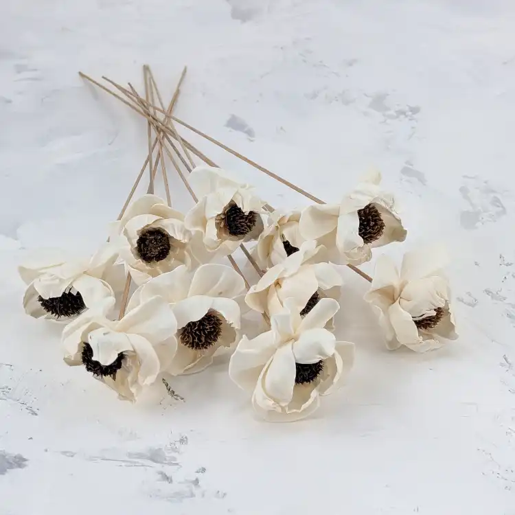 Shola Peony Titonia 1.png