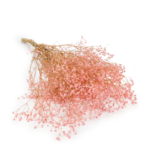 gipsówka pastel jasny róż.png