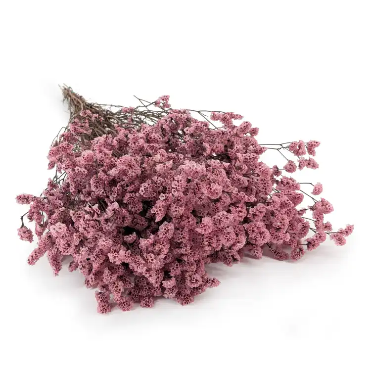 Caspea 08.png