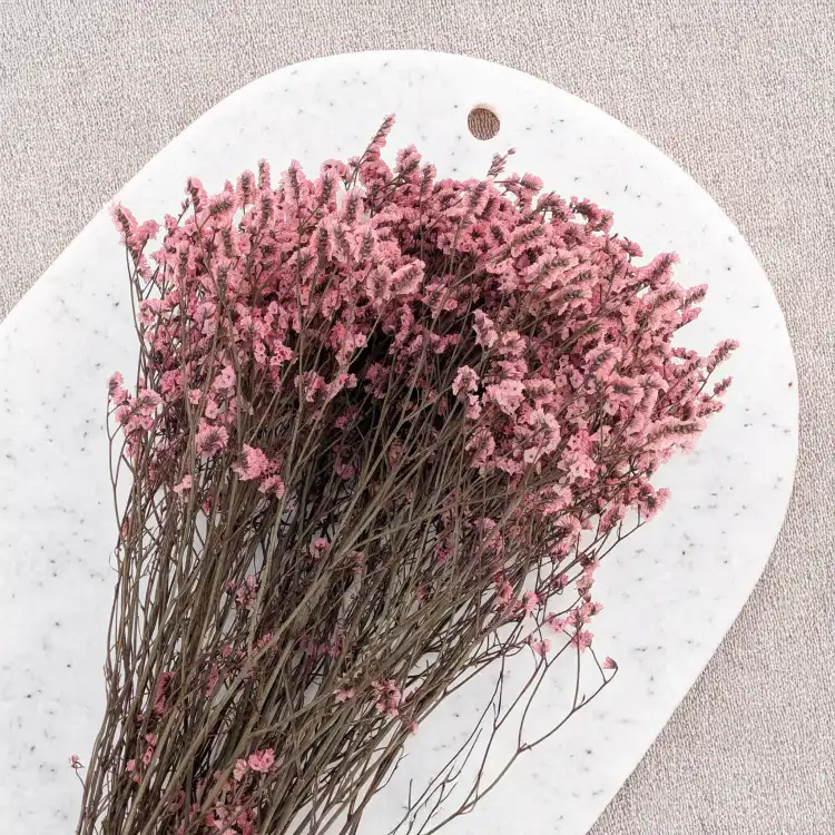 Caspea 07 4.png