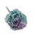 Hydrangea two tone Green.png