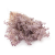 Gips dusty lavender 13 bb.png