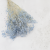 Gypsophila Cotton Sky Blue 10_2.png