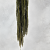 szarłat royal zielony 3.png