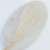 Gips mini royal bielona 1.png