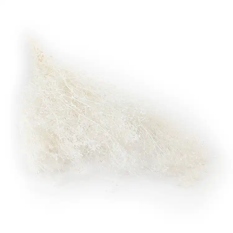 Gips Mini ROyal.png