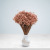 Glixia Lt pink IT 4.png