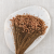 Glixia peach IT 4.png