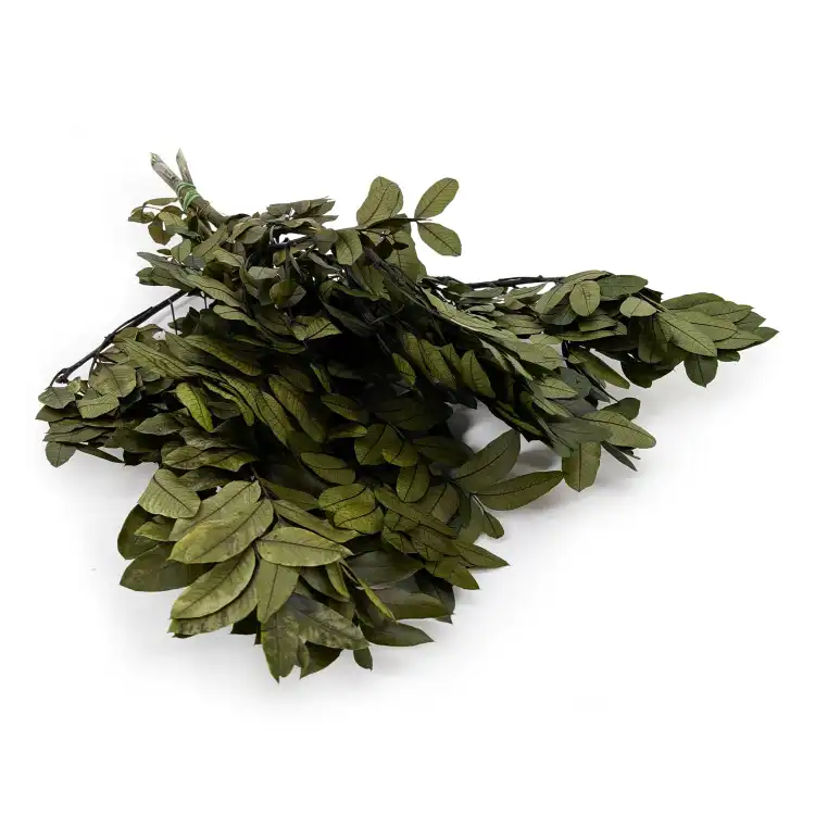 Pistacja.png