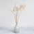 Cane Cone in 4.png