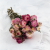 Kocanka rózowa IT 1.png