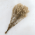 gips royal naturalna.png