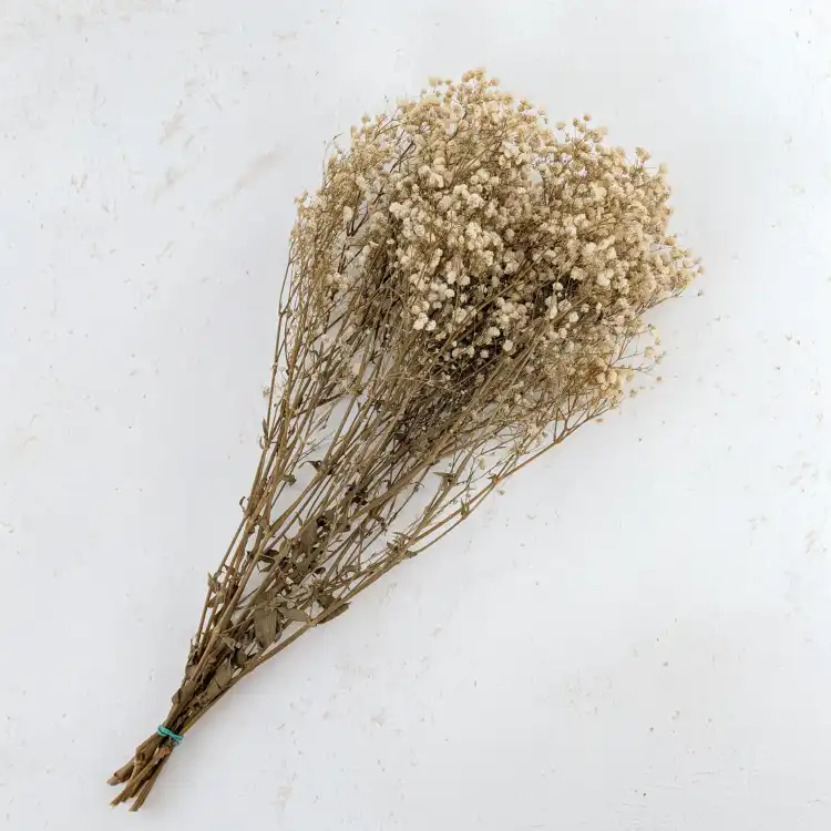 gips royal naturalna.png