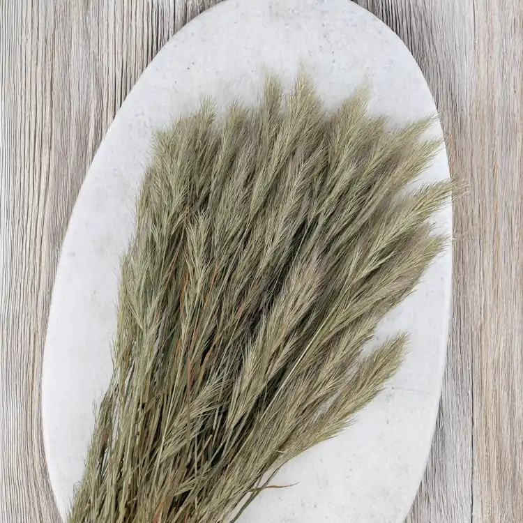 Trawa choinkowa naturalna 4.png