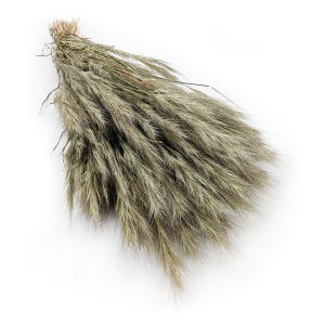 Trawa choinkowa naturalna.png