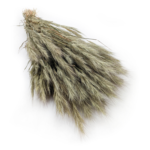 Trawa choinkowa naturalna.png