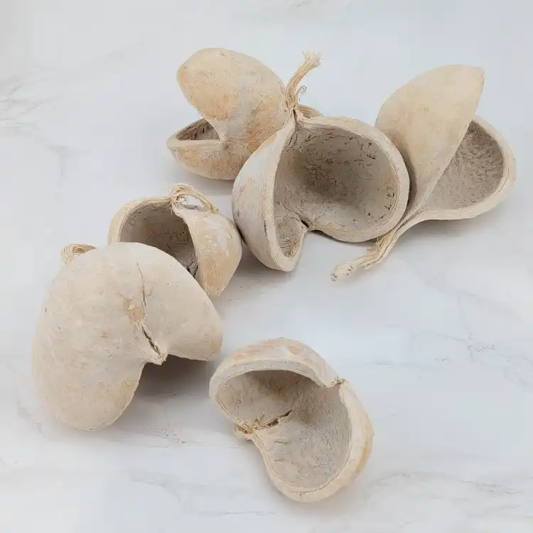 Budda Nut 6szt 2.png