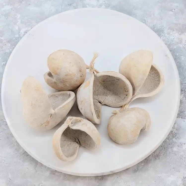 Budda Nut 6szt 1.png