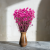 Ammobium roz SZ 5.png