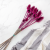 Oset roz SZ 3.png