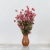Gomfrena roz lisc Sz 5.png