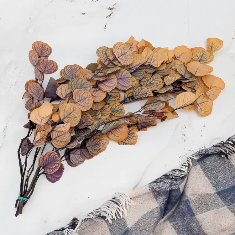 Populus jesienny fiolet 3.png