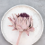 Karczoch suszony – Artichoke – Frosted Rose – 1szt_4.png