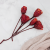 Repens cut red 3.png