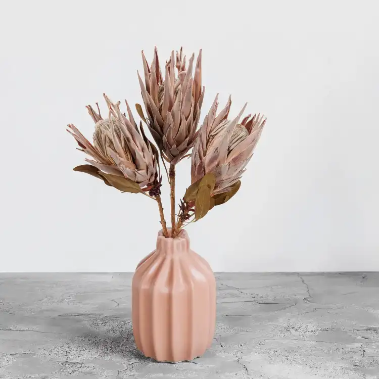 Protea King pink 5.png