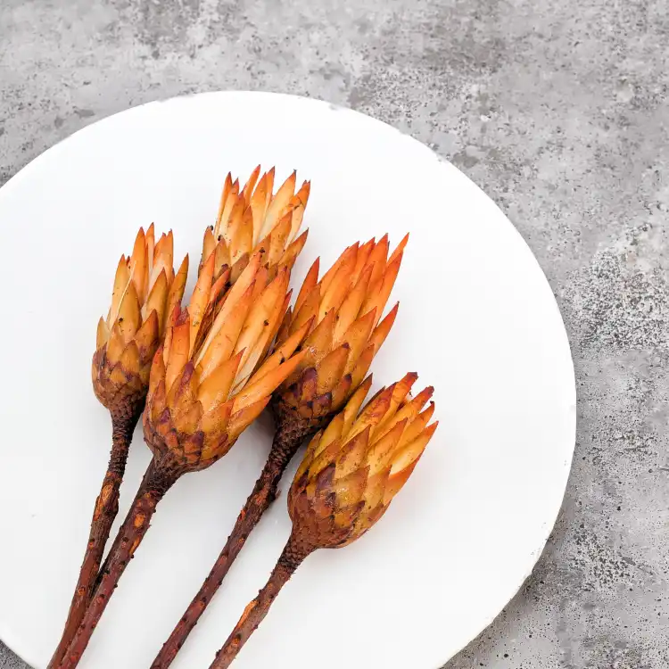 Suszona Protea (Protea Repens) - Pomarańczowa - 5szt.png
