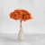 HYDRANGEA AUTUMN ORANGE COLOR BHYS-13 5.png
