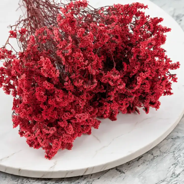 CASPEA 12 RUBY RED 2.png