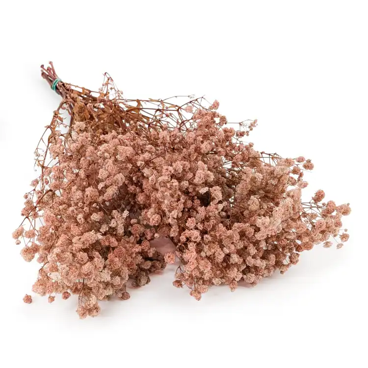 Gips Royal Nude pink.png