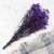 Gips Royal Fioletowa 3.png