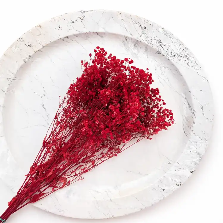 Preserved Gypsophila Deep Red Gipsówka Stabilizowana Głęboka czerwień_3.png