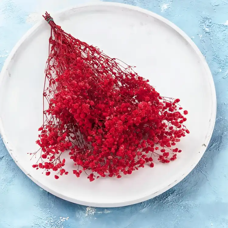Preserved Gypsophila Deep Red Gipsówka Stabilizowana Głęboka czerwień_2.png