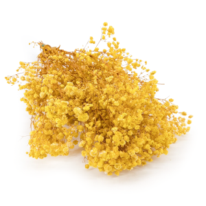 Preserved Gypsophila Lemon Cream Gipsówka Stabilizowana Krem Cytrynowy.png