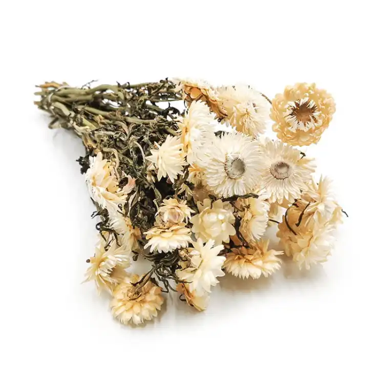 Kocanka biała suszona kocanki chelichrysum bukiet.jpg