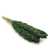 Sorgo suszone zielone.jpg