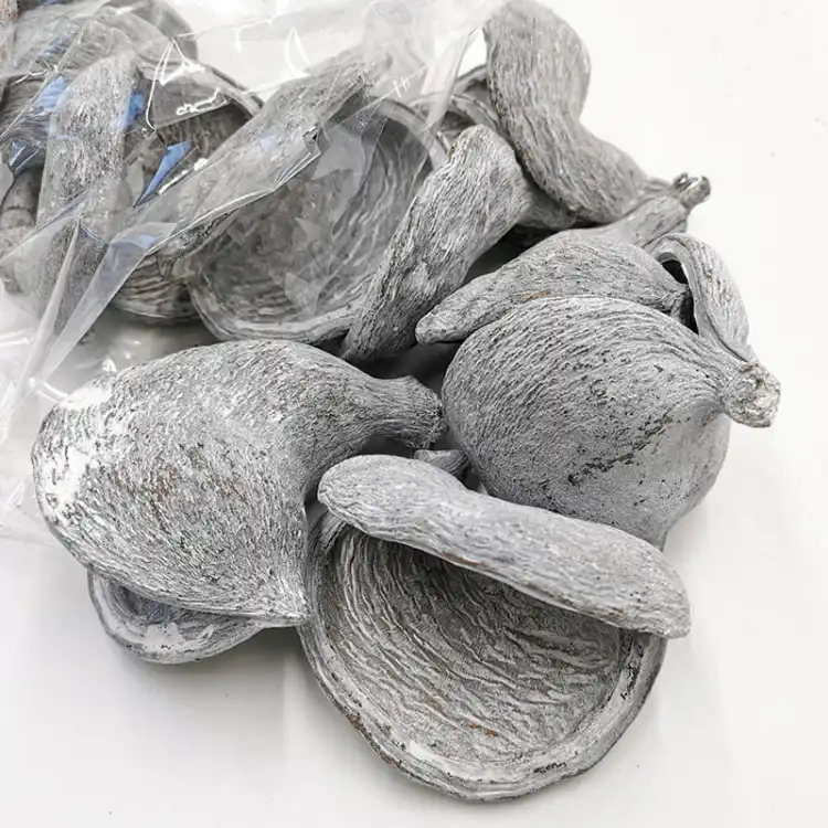 Badam Grey White Washed Paczka 10szt zblizenie.jpg