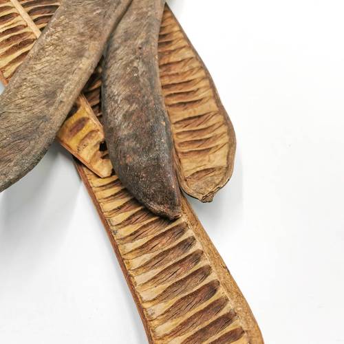 Machete Step Fruit 5szt zbliz.jpg