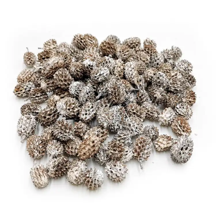 Casurina White Washed 100g.jpg