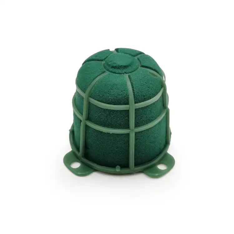 turtle maxi gora 1szt.png