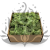 Nor Mint 1.png